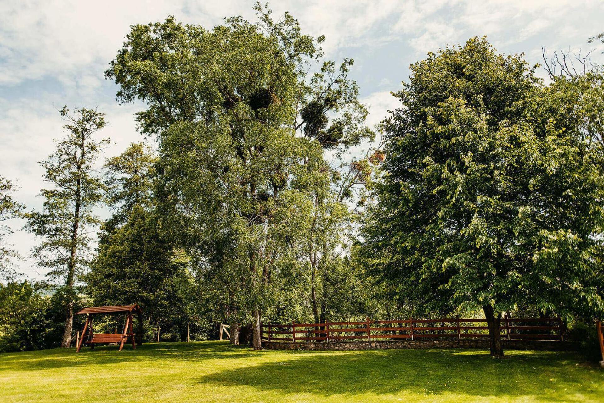 Bed and Breakfast Kakukk Vendeglo Panzio Bánd Exteriér fotografie